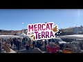 Mercat de la terra   le mercat cest cochon 