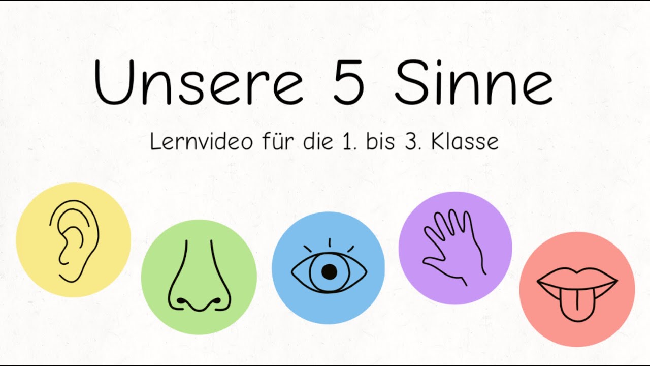 Unsere 5 Sinne