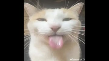 just a lil silly - fabianski987 (original song)