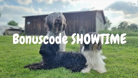 Showtime! Een kijkje achter de schermen tijdens 2 shows met de Nederlandse Schapendoes | Bonus Video