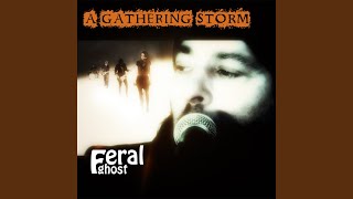 A Million Stars - Feral Ghost
