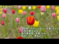 夢を追いかけて