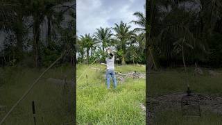 Download Lagu 🌅 “Sore santai ditemani suara pikat, burung serindit pun merapat.” 🕊️#kicaumania #serindit MP3 Download Lagu 🌅 “Sore santai ditemani suara pikat, burung serindit pun merapat.” 🕊️#kicaumania #serindit MP3