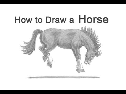 Featured image of post How2Drawanimals Horse