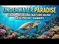 Ocean Drift Harmony 🌊 • Soothing Relaxation Music for Sleep 😴 • Gentle Ambient Flow 🌟