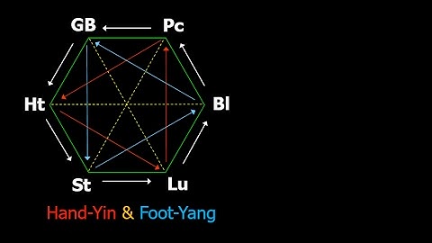 6/element acupuncture: Embrace of Foot-Yang & Hand-Yin triangles