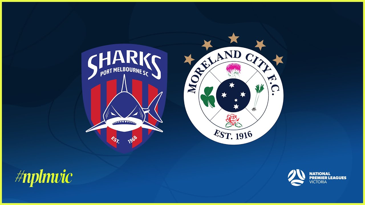 Kingston City Fc V Port Melbourne Sharks Sofascore Baci Living Room