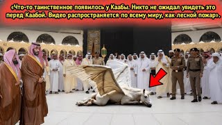 картинка: Что-то таинственное появилось у Каабы – заснято на камеру!