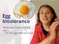 Gambar cover Egg Intolerance - Eggs are NOT Your Real Problem - Here's Why Your Body Reacts to Eggs