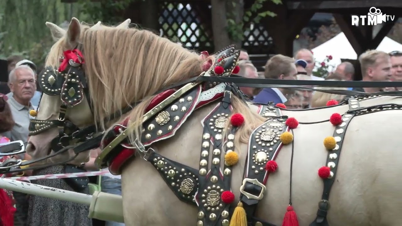 III Nadnidziańska Parada Karet i Zaprzęgów Konnych
