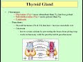 Thyroid Gland — The Regulator of Body Metabolism