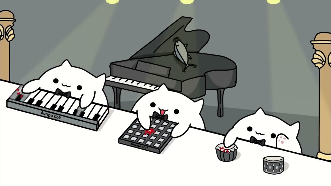 Бонго кэт пианино. Бонго кот. Bongo cat песни. Бонго кэт. Bongo cat обои.