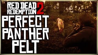 How To Get A Perfect Panther Pelt - Red Dead Redemption 2 Pristine Panther Hunt