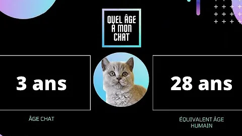 Quel Age A Mon Chat De 6 Ans Quel Age A Mon Chat De 6 Ans