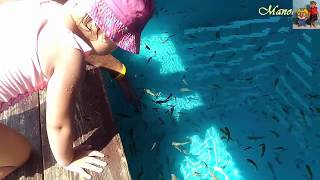 Prenses Manolya Küçük Balıklarla Oynuyor