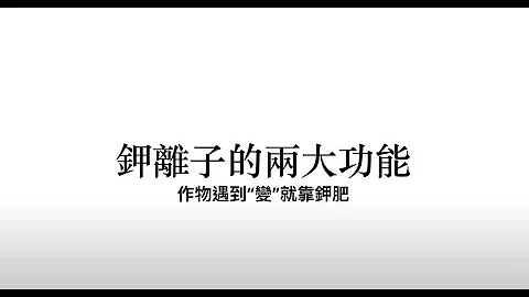 作物生长变变变跟钾肥有关？ 钾肥的两大关键功能  HD 720p - 天天要闻