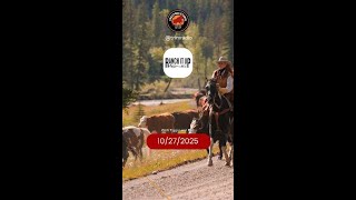 Ranch it Up Daily Brief 10272025 #shorts