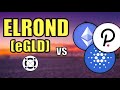 Elrond (eGLD) vs Cardano, Ethereum, & Polkadot! (BIG ELROND PRICE PREDICTION) Hashoshi Interview