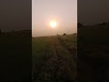 A Day in the Life: Anantapur Fields 📍 #vlog #nature