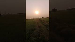 A Day in the Life: Anantapur Fields 📍 #vlog #nature