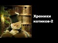 Хроники котиков 2