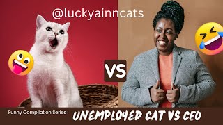 Funniest animals of 2023@luckyainncats#funnycatsvideos world funniest cats 😂 by luckyainncats 61 views 1 year ago 2 minutes, 37 seconds