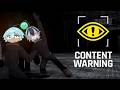 how i put my life on the line for content l collab content warning