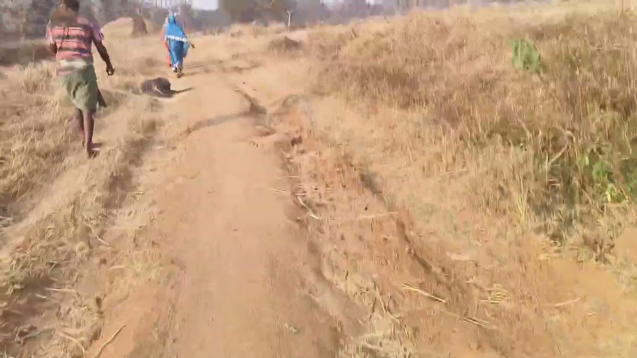 kuraghat nala ra pic ###iplguys### 