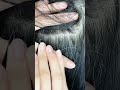 Mencabut uban di rambut #hair #asmr 
