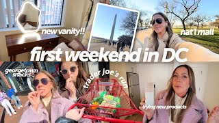 first weekend living in DC! new vanity, flea market, National Mall, haircare, Trader Joe's haul
