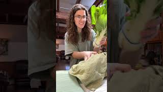 Download Lagu $4 for 4 servings MP3