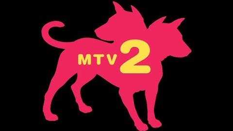MTV2 Commercial Break - May 2005