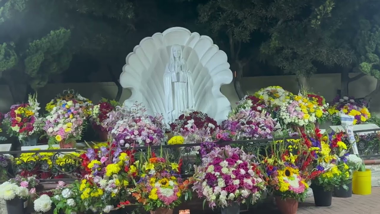 Dức Mẹ Hòa Bình Long Beach - Hoàng Mỹ Vân - sáng tác đoàn vi hương