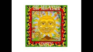 Big Mountain   Young Revolutionaries   1994