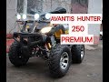 Квадроцикл Avantis Hunter 250  premium