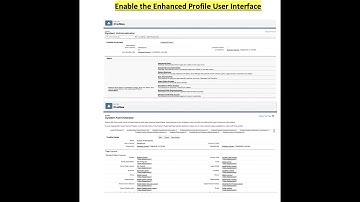 Salesforce II Enable the Enhanced Profile User Interface