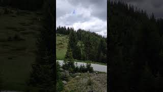 Greenery in the mountain Rhodope in Bulgaria