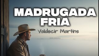 Madrugada Fria — A Saudade Que Arrepia o Coração | Valdecir Martins #sertanejo #músicaautoral