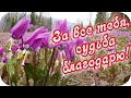 Доброе утро!🌸 За все тебя судьба благодарю! 🌸Самый душевный видеоролик! 🌸