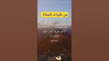 لو انزلنا هذا القرآن #احمد_سليمان_ابوالبراء #اكسبلور #راحة_نفسية #تلاوة #لايك #حالات_واتس #explore
