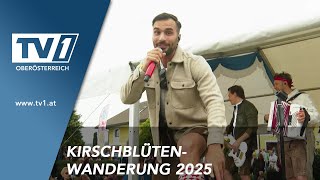 13.000 Besucherinnen Kirschblütenwanderung Am Lehnerhof
