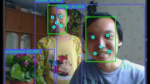 Object Detection + Face Detection, guided by Tracking and Optical Flow