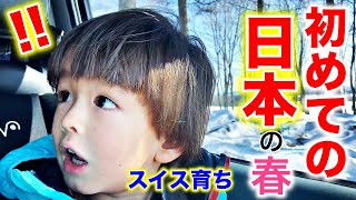 日本１日目！息子達が初めて体験する日本に驚愕！見たことのない世界に大興奮！日本帰省中、北海道の実家