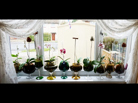 Watering