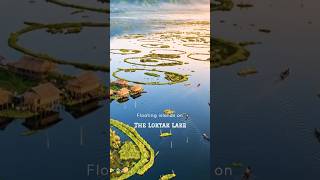 Loktak Lake where you have the world’s Only Floating National Park ! #LoktakLake #KeibulLamjao