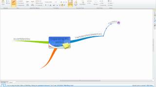 Using iMindMap to take notes.flv Net Worth