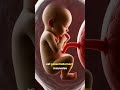 Ls contractions pendant la grossesse #short #futuremaman #enceinte #grossesse