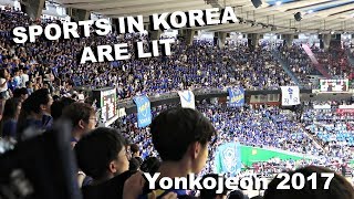 YonKo Games (연고전) + Noraebang Vlog | SPORTS ARE LIT IN KOREA