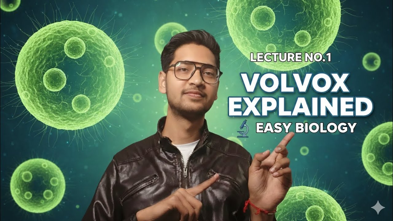 INTRODUCTION TO VOLVOX | ALGAE | LECTURE 01 | BSC SEMESTER 1 