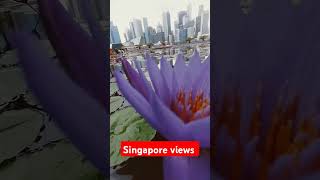 ytshorts singapore marinabaysandssingapore mbs